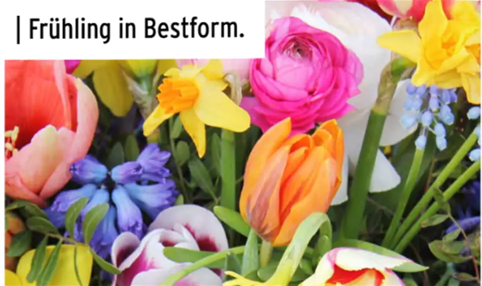 Screenshot 2026-03-16 093712.png Screenshot 2026-03-16 093712.png