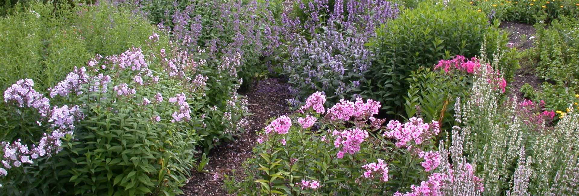 1A Garten Hauner Ihr Gartencenter aus Regensburg