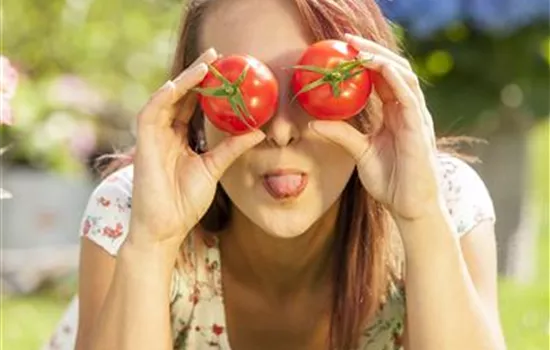 Tomatenrausch - So gelingen Anzucht, Kultur und Ernte