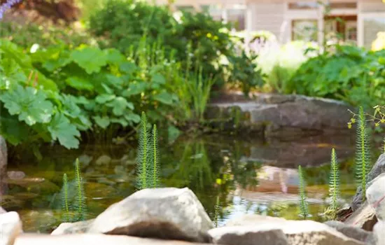 Findlinge im Garten - Sitzgelegenheit, Wasserfall oder Dekoelement