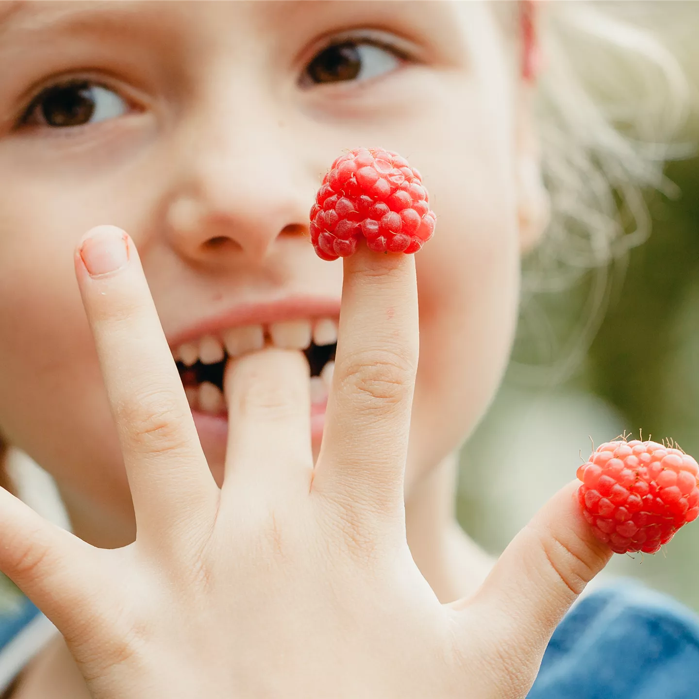 Himbeeren