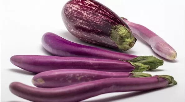 eggplant-839859_1280.jpg