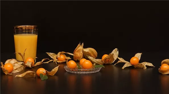 still-physalis-life-3315233_1280.jpg